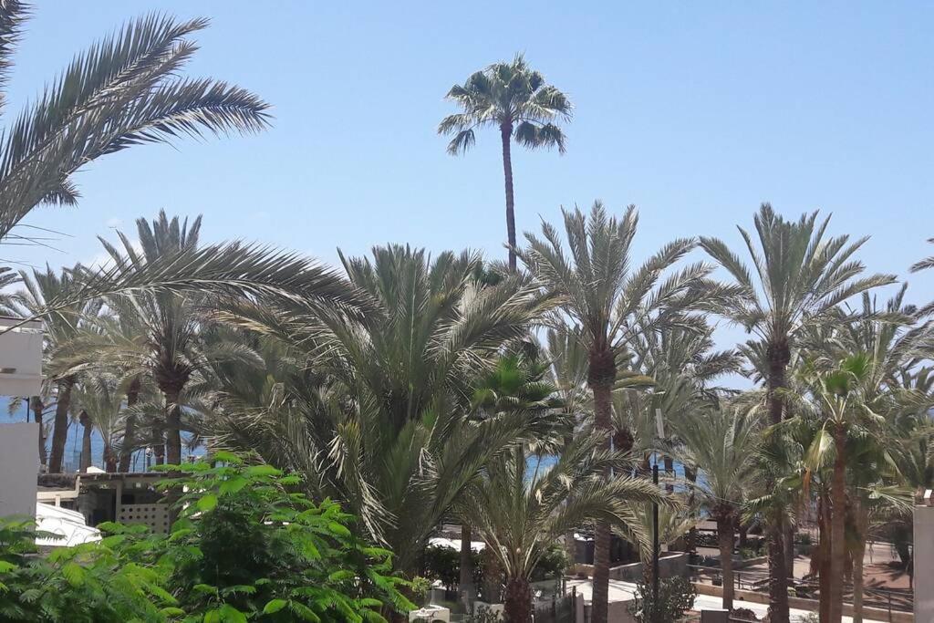 Guayero, Bel Appartement A 50M De La Mer Los Cristianos  Luaran gambar